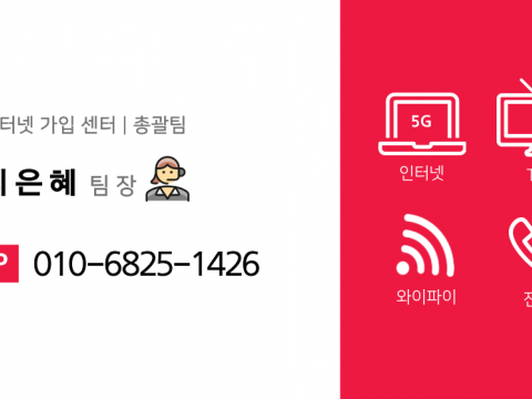 인터넷+TV